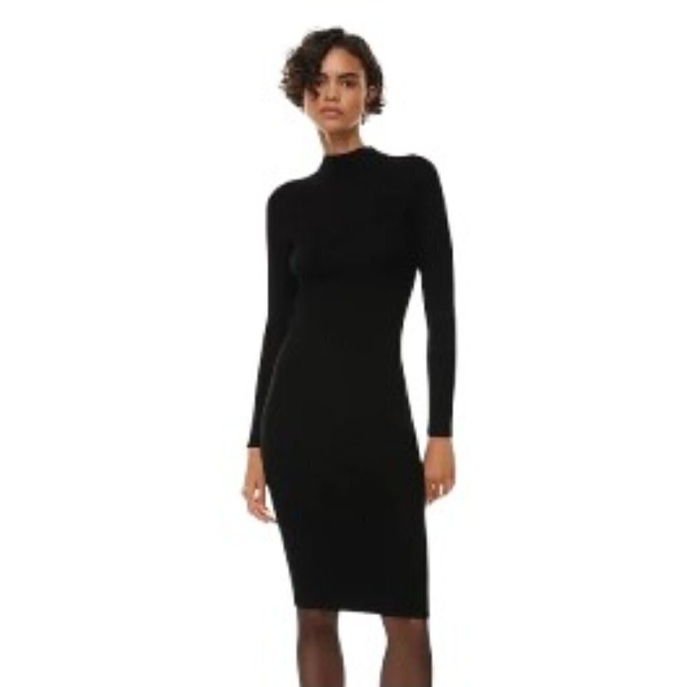 Aritzia Babaton Compose Dress